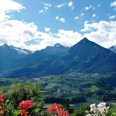 Hahnenkamm Rainegg Daire Schenna Dış mekan fotoğraf