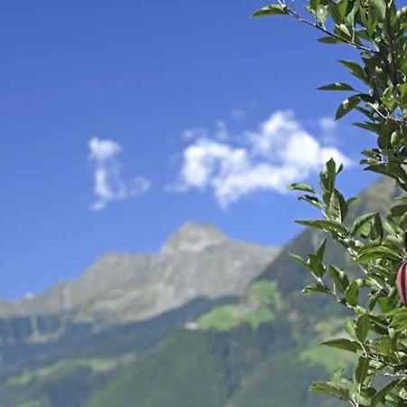 Hahnenkamm Rainegg Daire Schenna Dış mekan fotoğraf