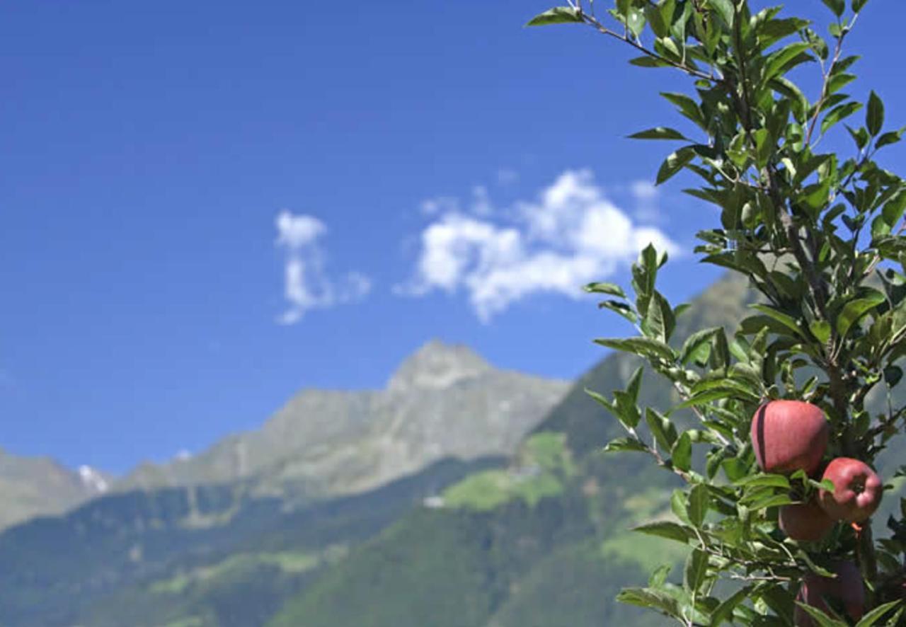 Hahnenkamm Rainegg Daire Schenna Dış mekan fotoğraf