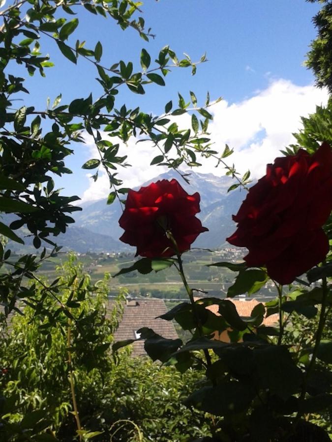 Hahnenkamm Rainegg Daire Schenna Dış mekan fotoğraf