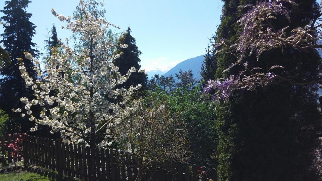 Hahnenkamm Rainegg Daire Schenna Dış mekan fotoğraf